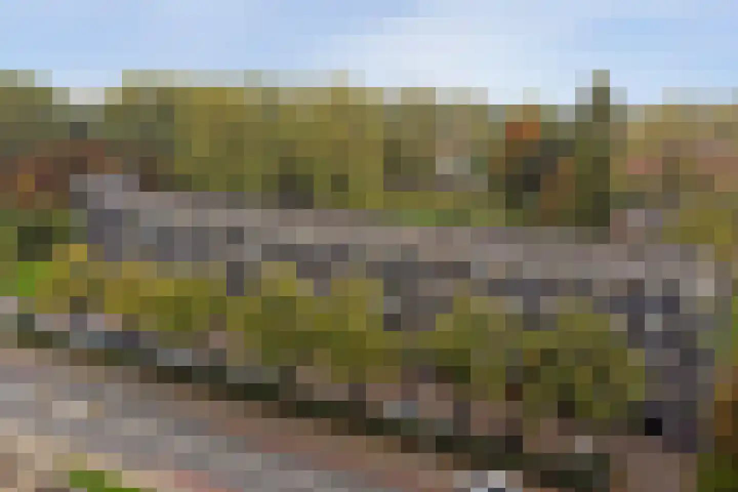Middachtensingel 148 Arnhem thumbnail 35