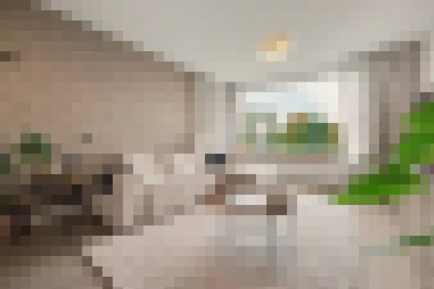 Middachtensingel 148 Arnhem thumbnail 8