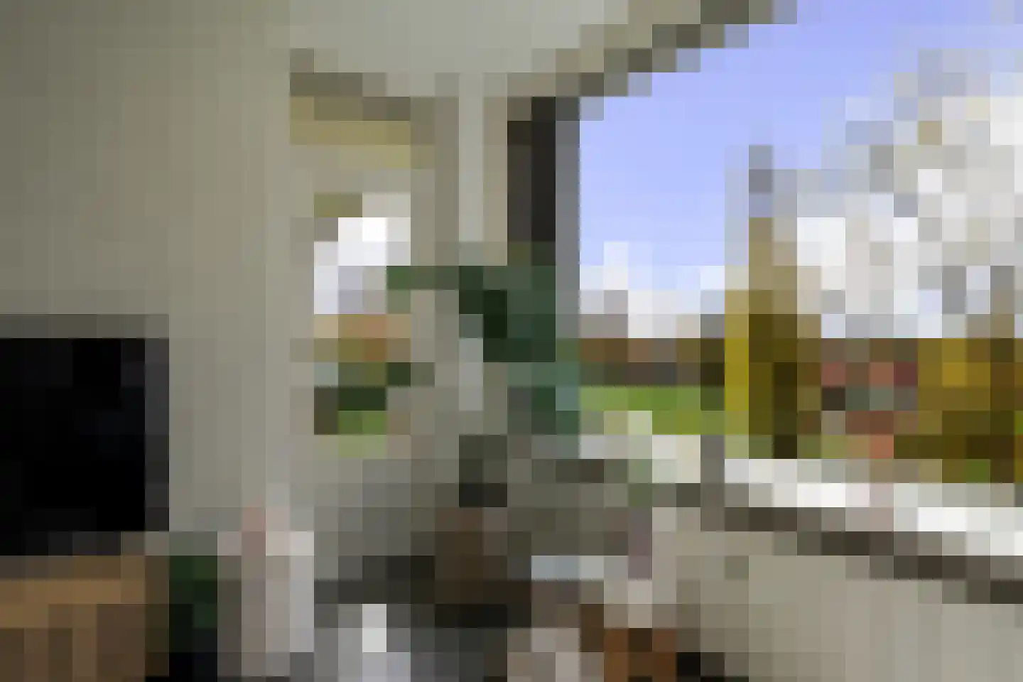 Middachtensingel 160 Arnhem thumbnail 6