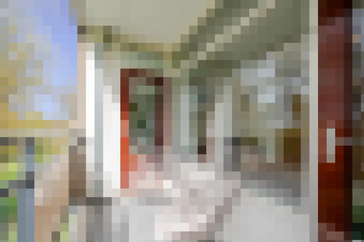 Middachtensingel 160 Arnhem thumbnail 7