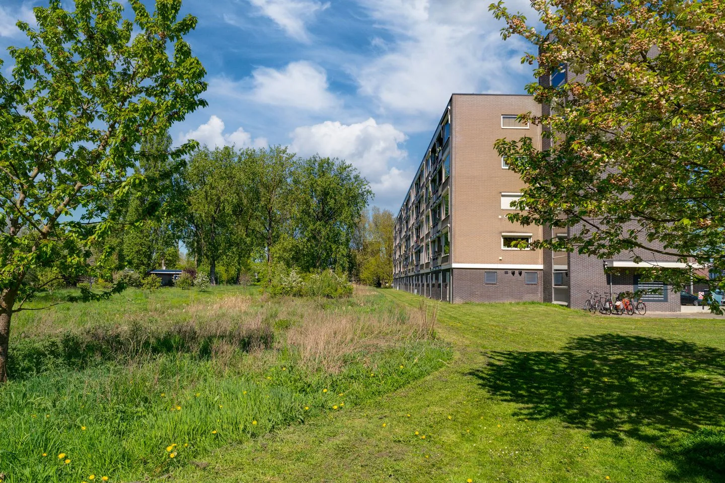 Middachtensingel 166 Arnhem thumbnail 33