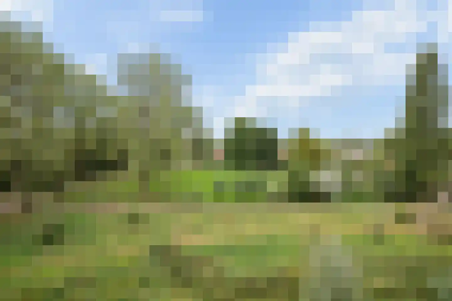 Middachtensingel 176 Arnhem thumbnail 15