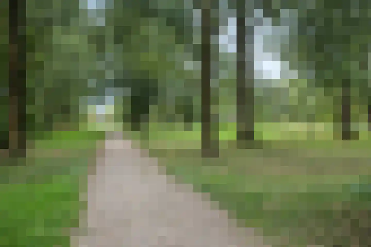 Middachtensingel 176 Arnhem thumbnail 31