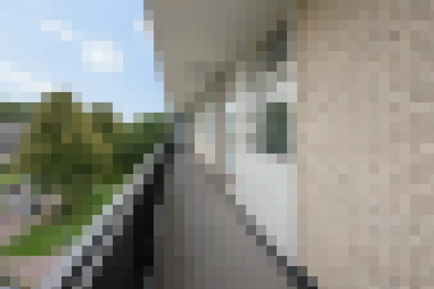 Middachtensingel 176 Arnhem thumbnail 9