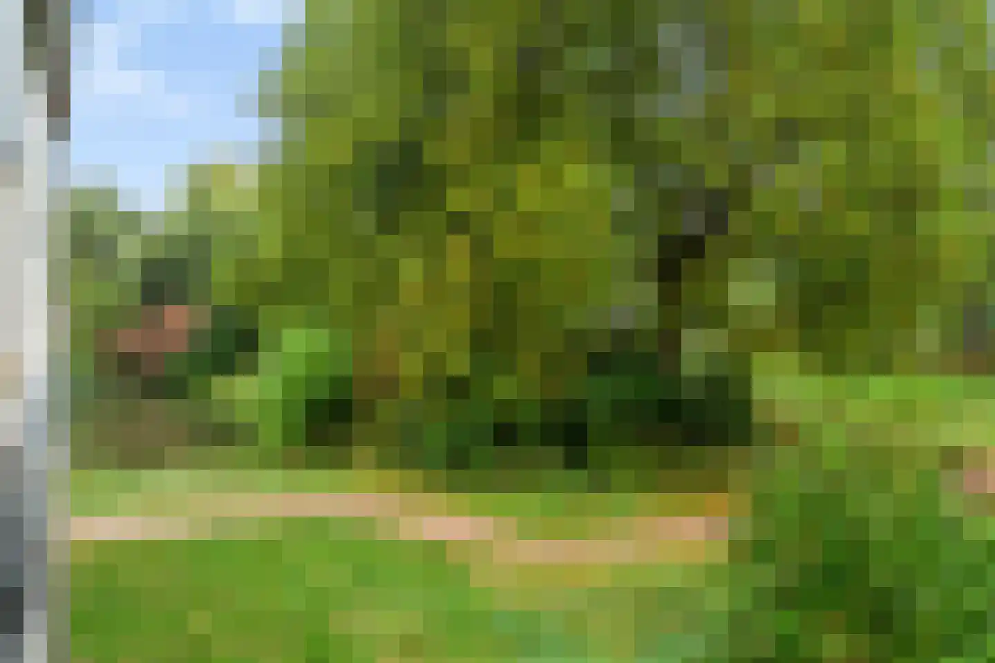 Middachtensingel 198 Arnhem thumbnail 49