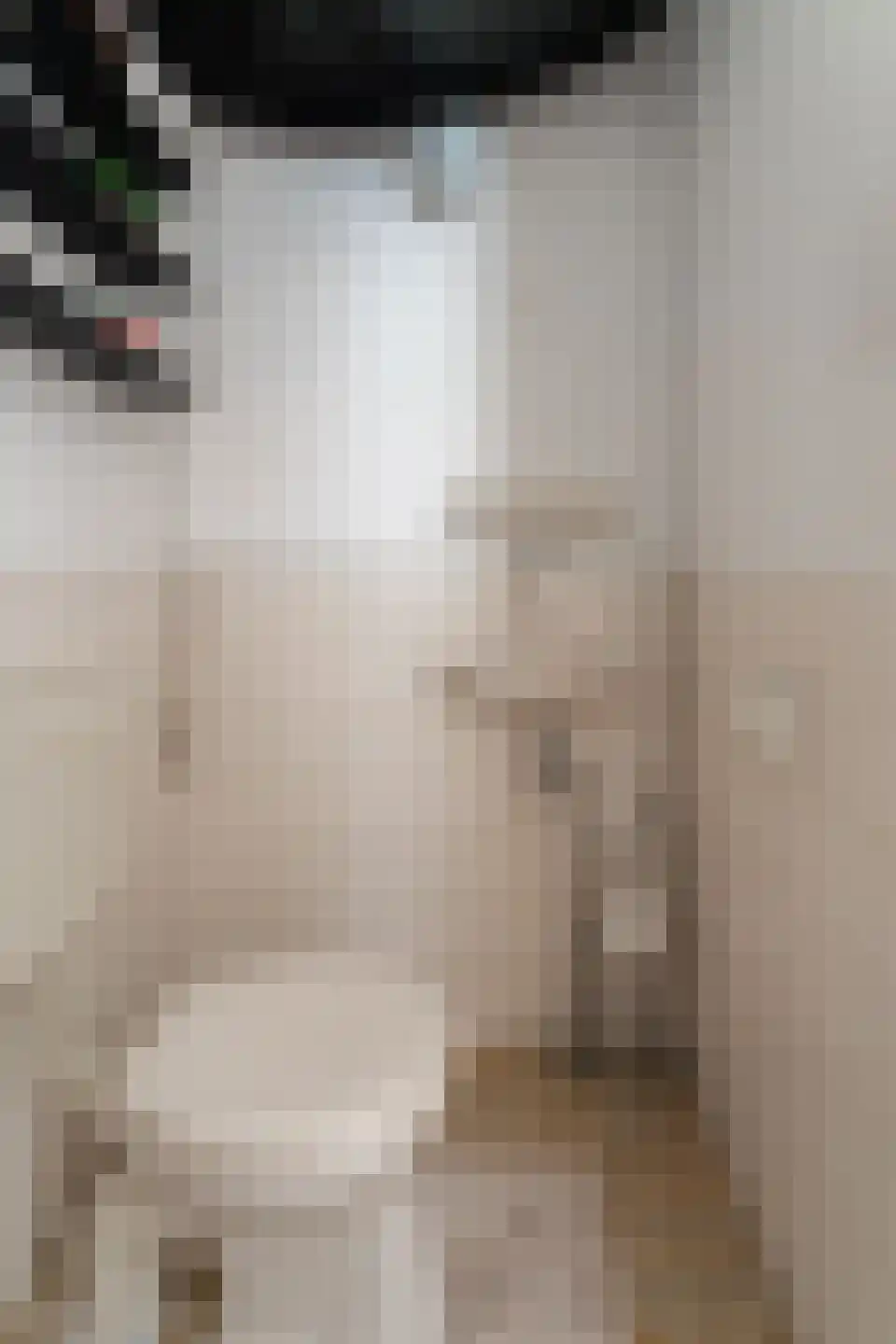 Middachtensingel 232 Arnhem thumbnail 19