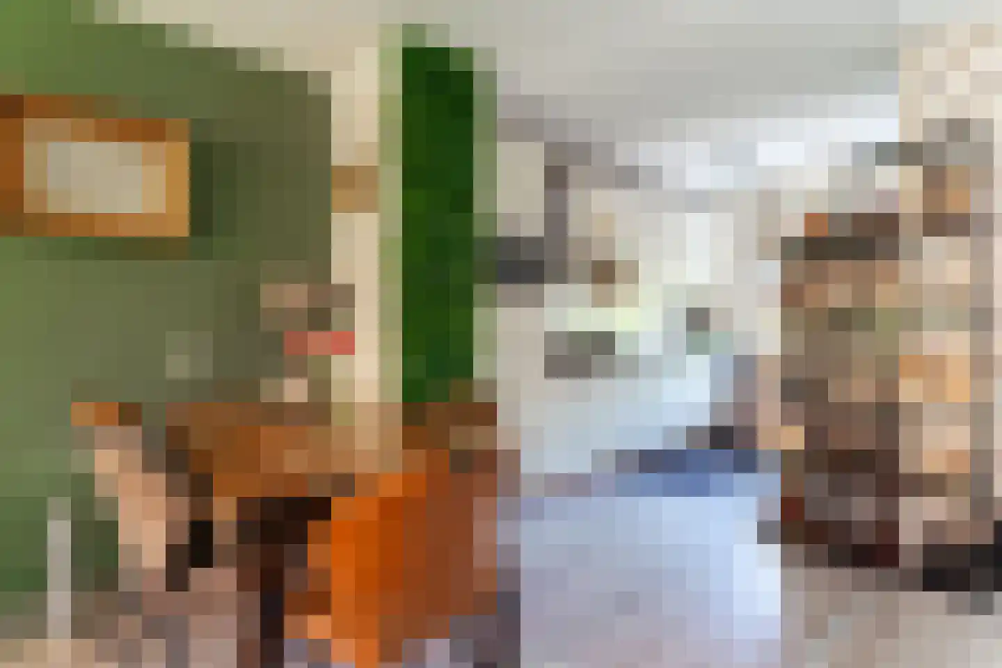 Middachtensingel 232 Arnhem thumbnail 28