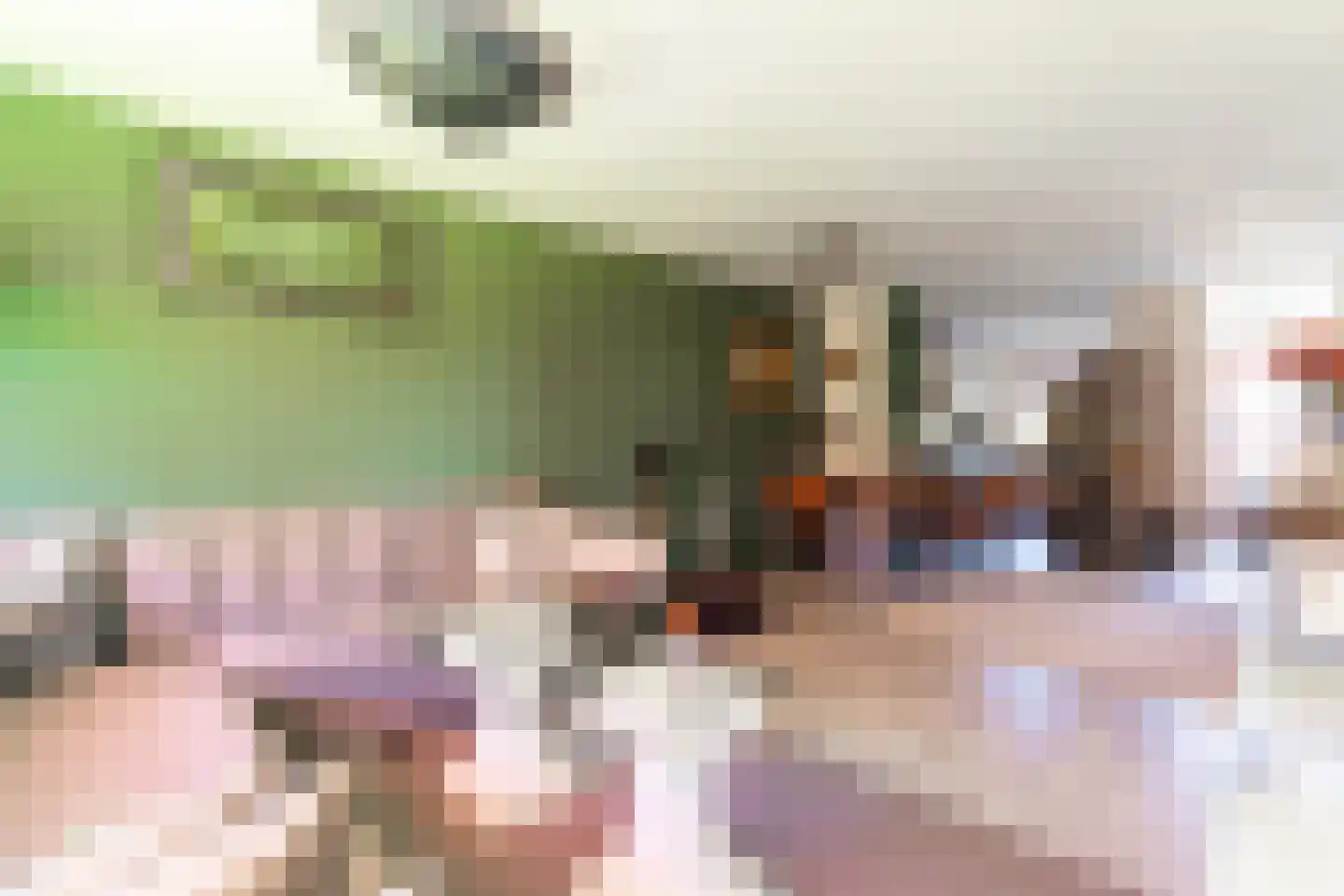Middachtensingel 232 Arnhem thumbnail 29