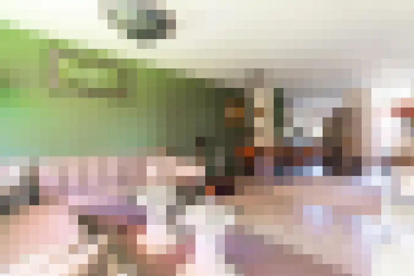 Middachtensingel 232 Arnhem thumbnail 29