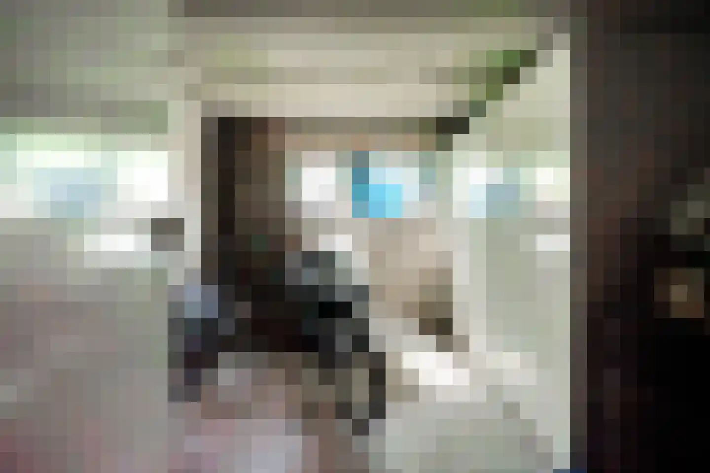 Middachtensingel 232 Arnhem thumbnail 31