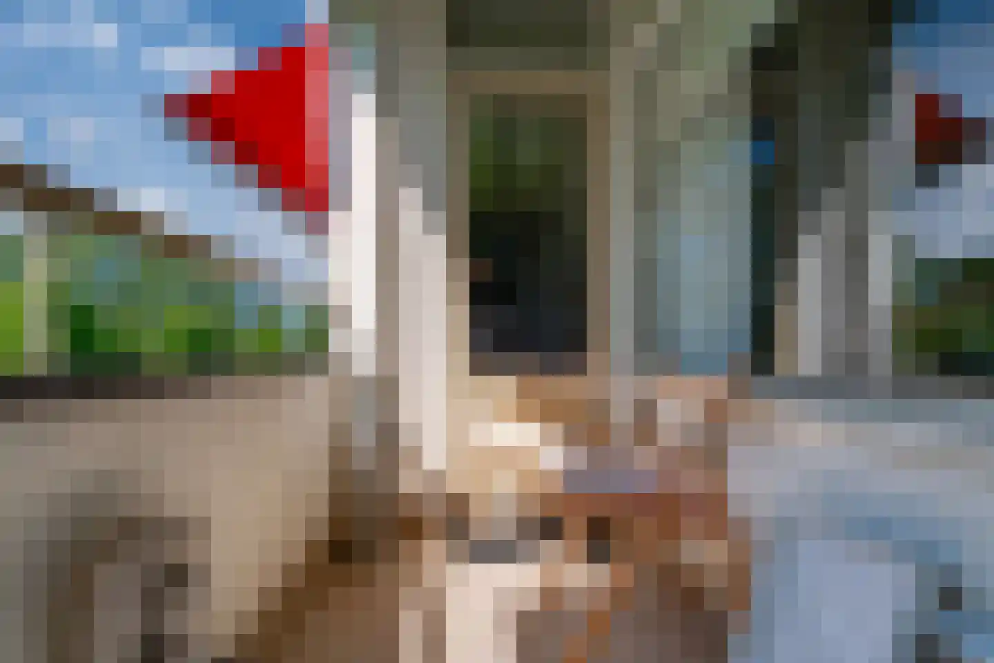 Middachtensingel 232 Arnhem thumbnail 32