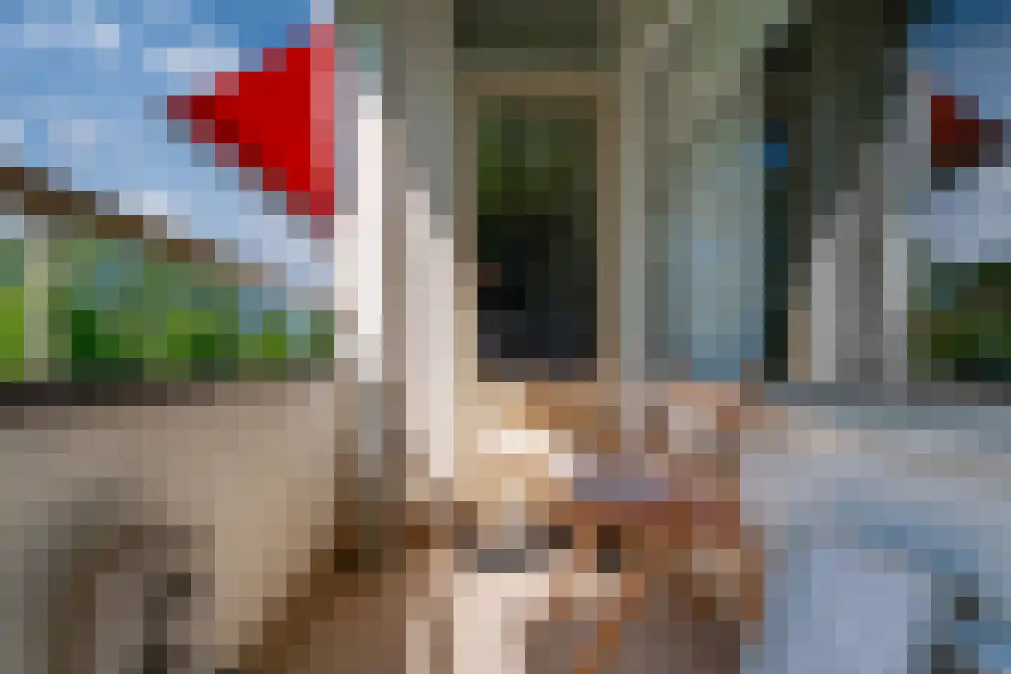 Middachtensingel 232 Arnhem thumbnail 32