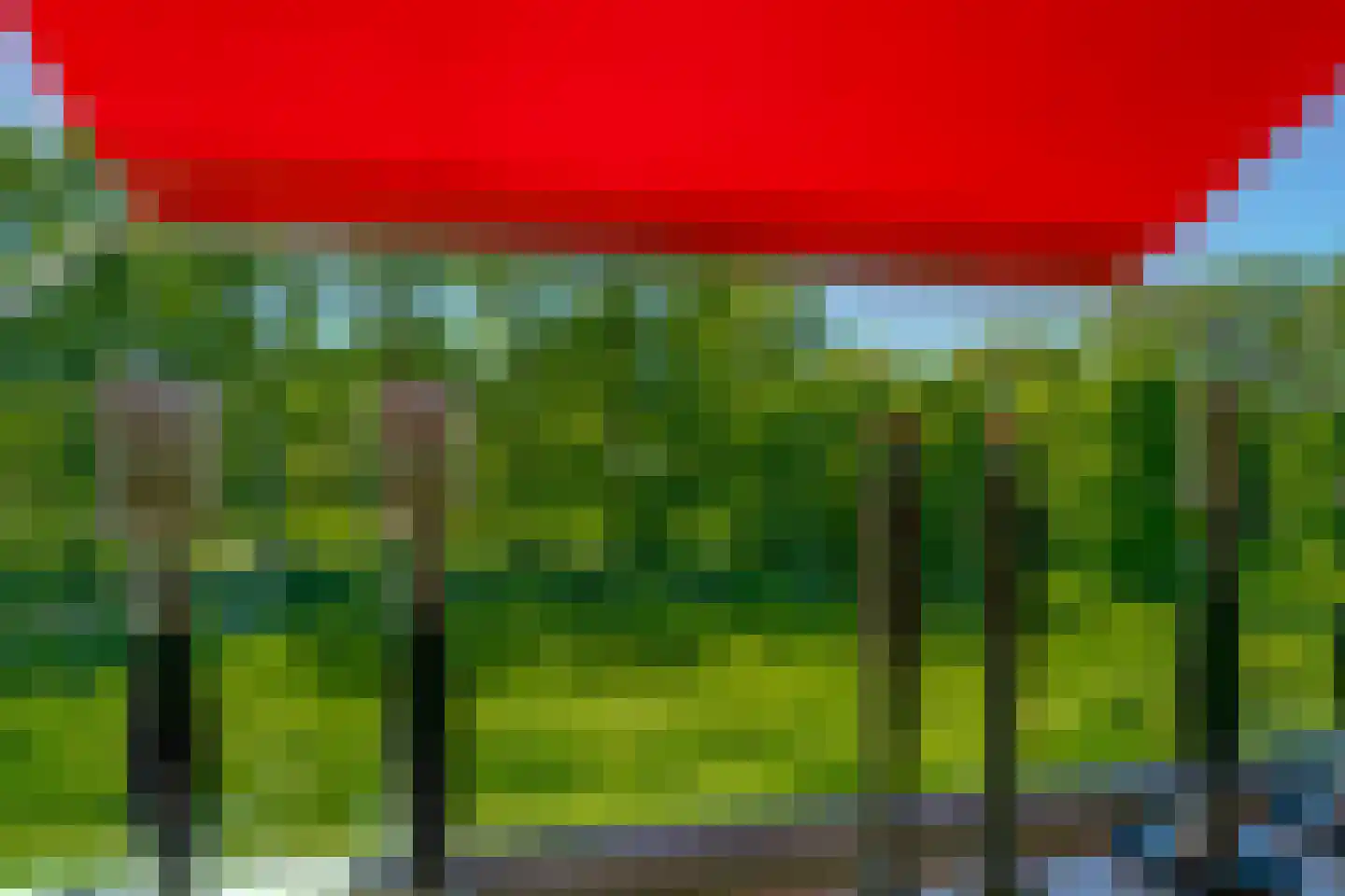 Middachtensingel 232 Arnhem thumbnail 36