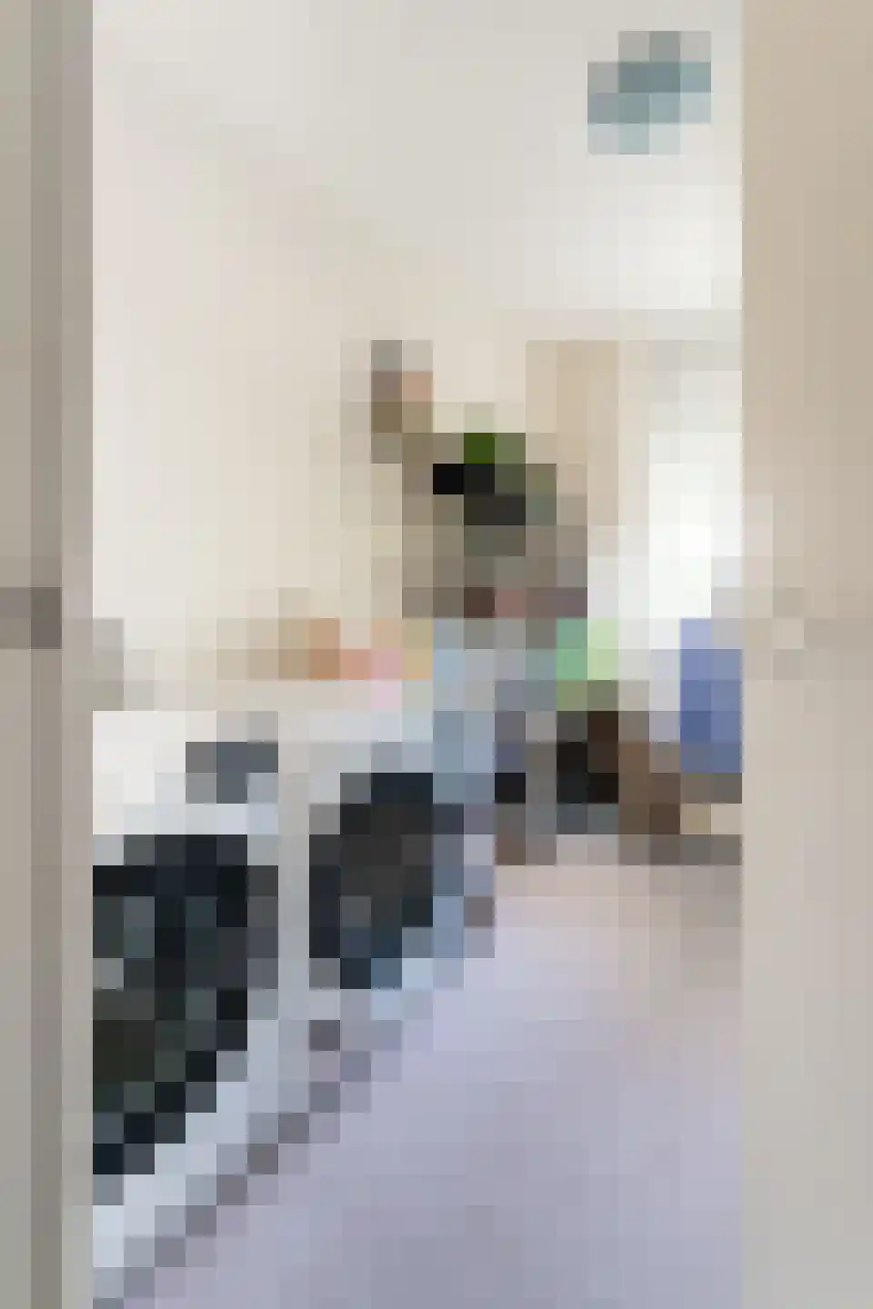 Middachtensingel 232 Arnhem thumbnail 4
