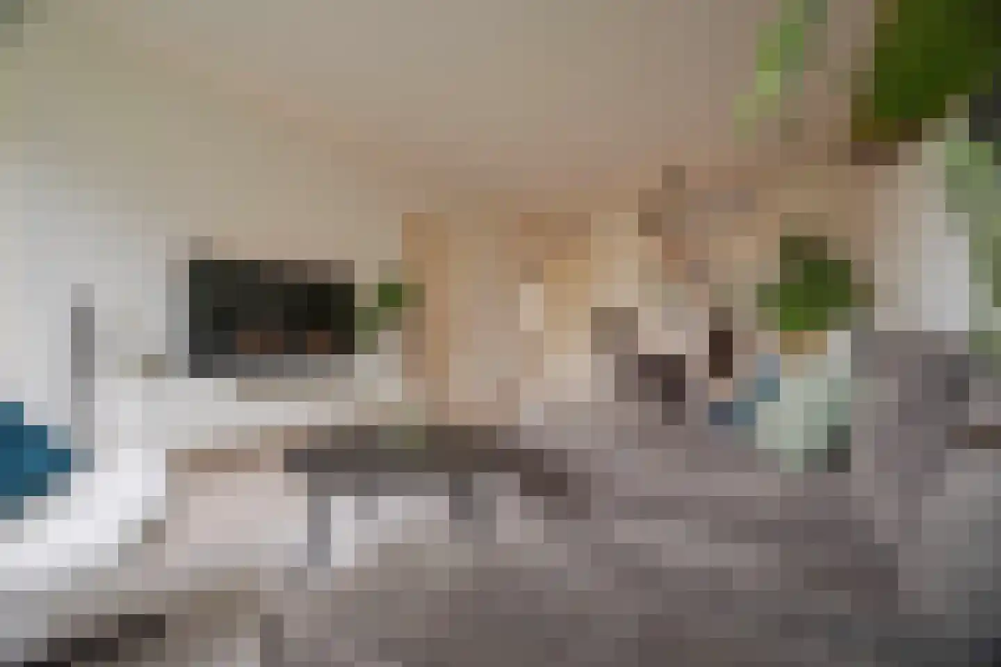 Middachtensingel 242 Arnhem thumbnail 15