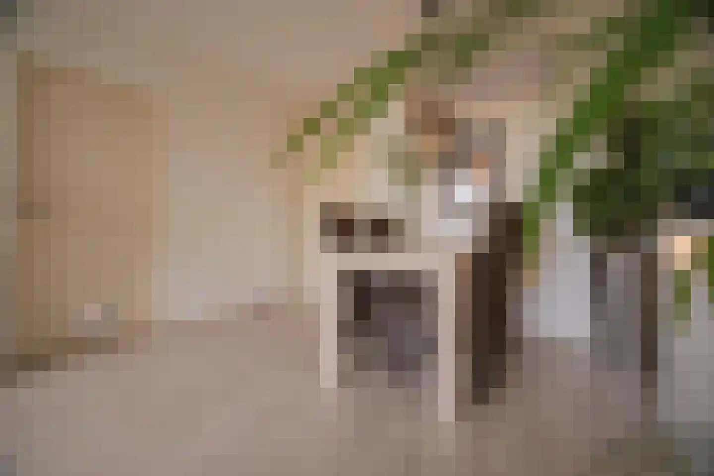 Middachtensingel 242 Arnhem thumbnail 17