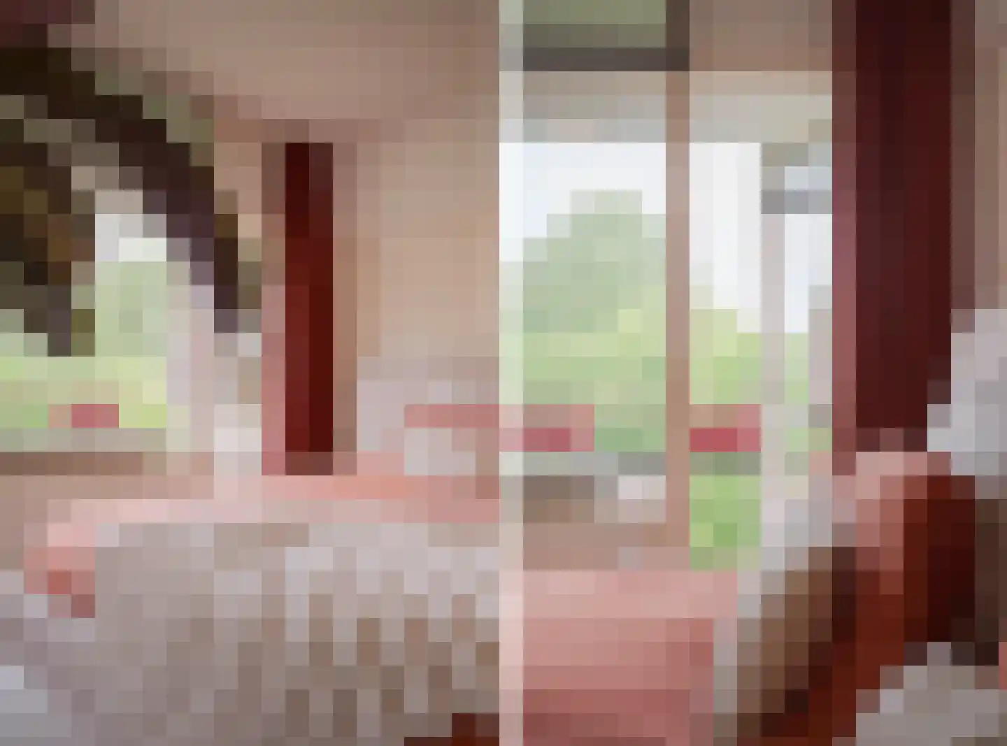 Middachtensingel 242 Arnhem thumbnail 32