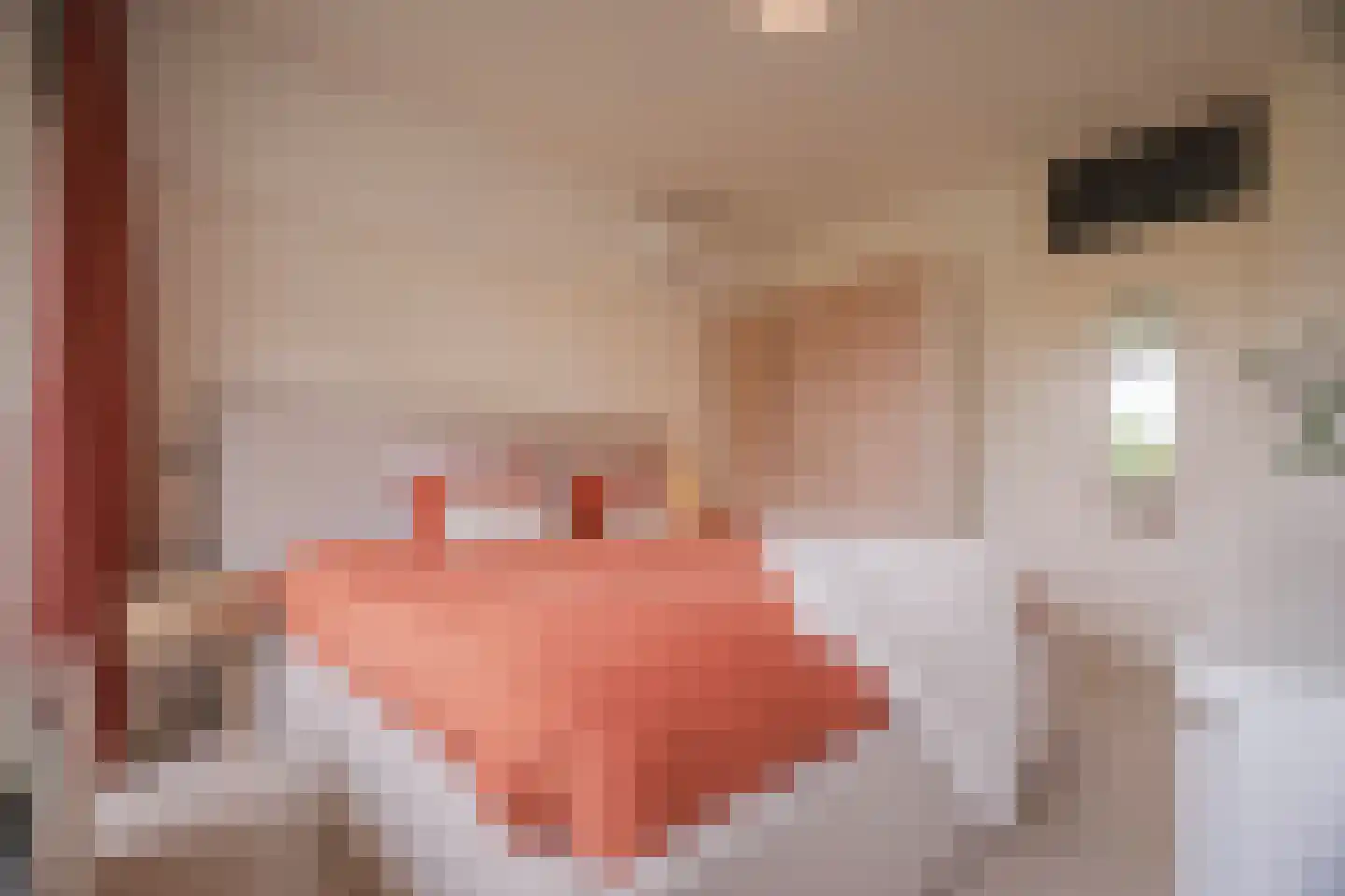 Middachtensingel 242 Arnhem thumbnail 5