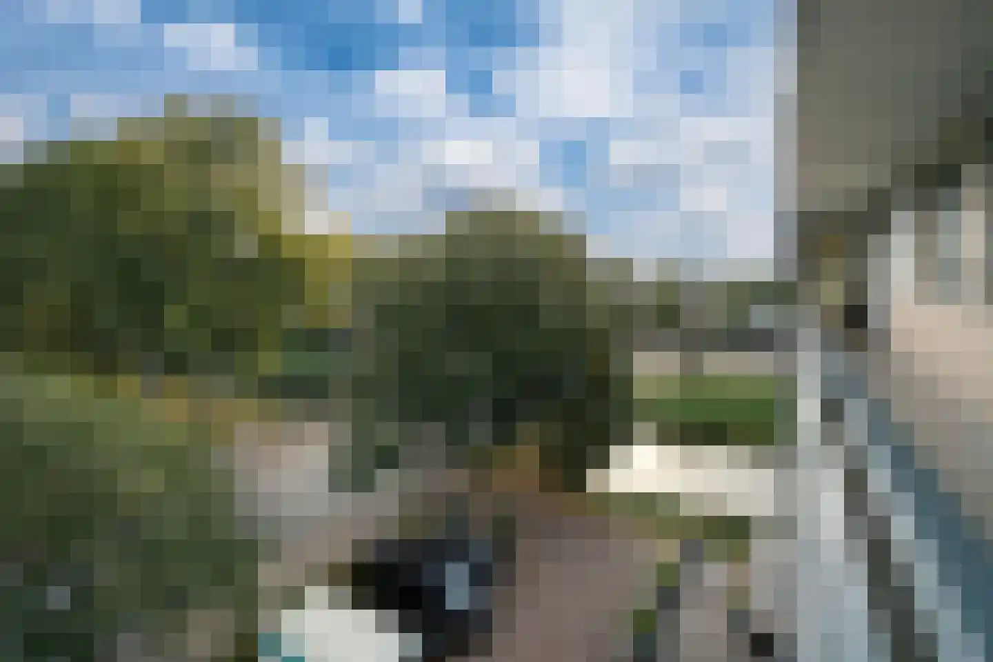 Middachtensingel 256 Arnhem thumbnail 12