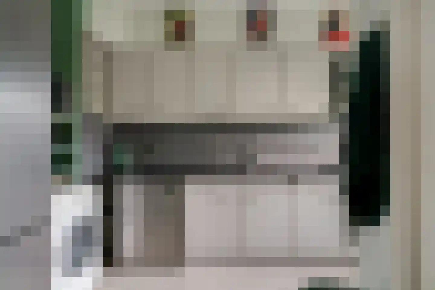 Middachtensingel 256 Arnhem thumbnail 19
