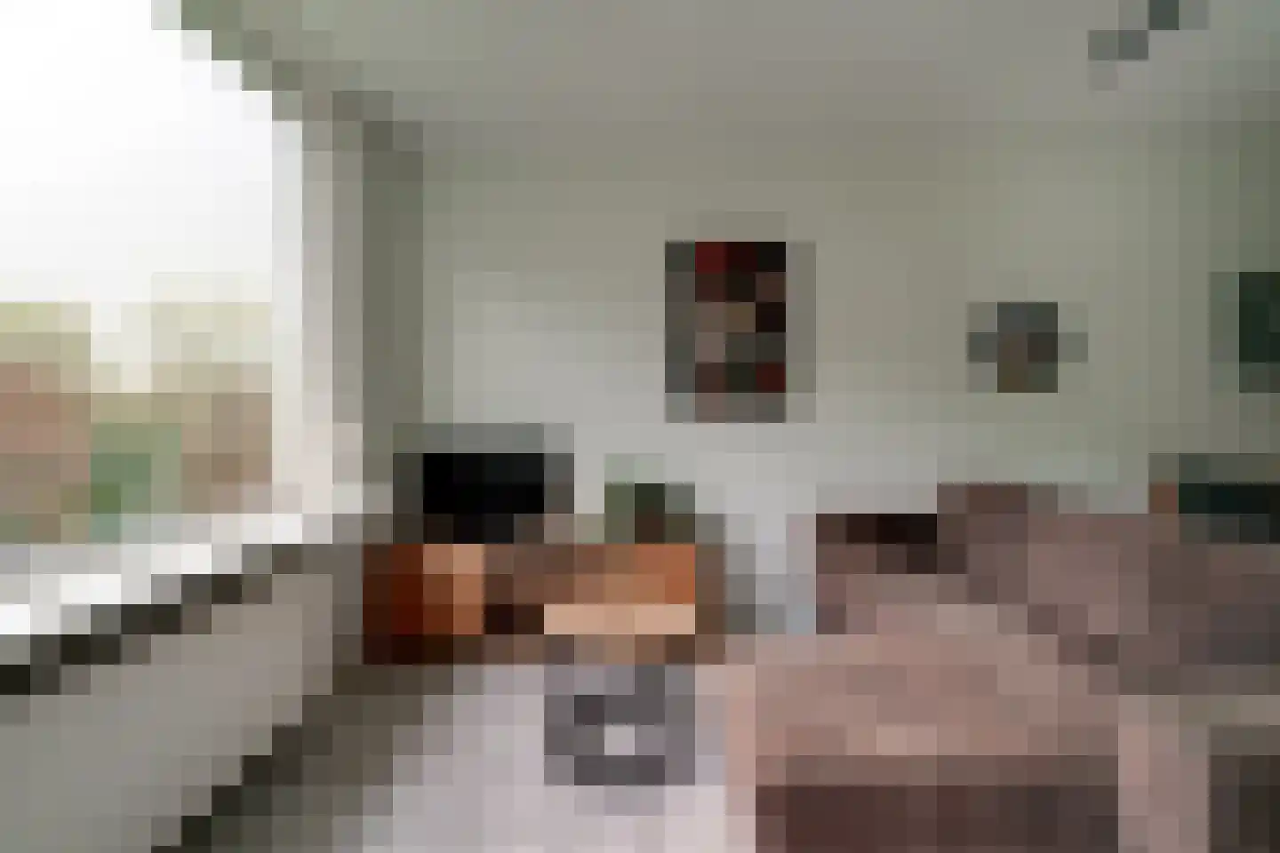 Middachtensingel 256 Arnhem thumbnail 33