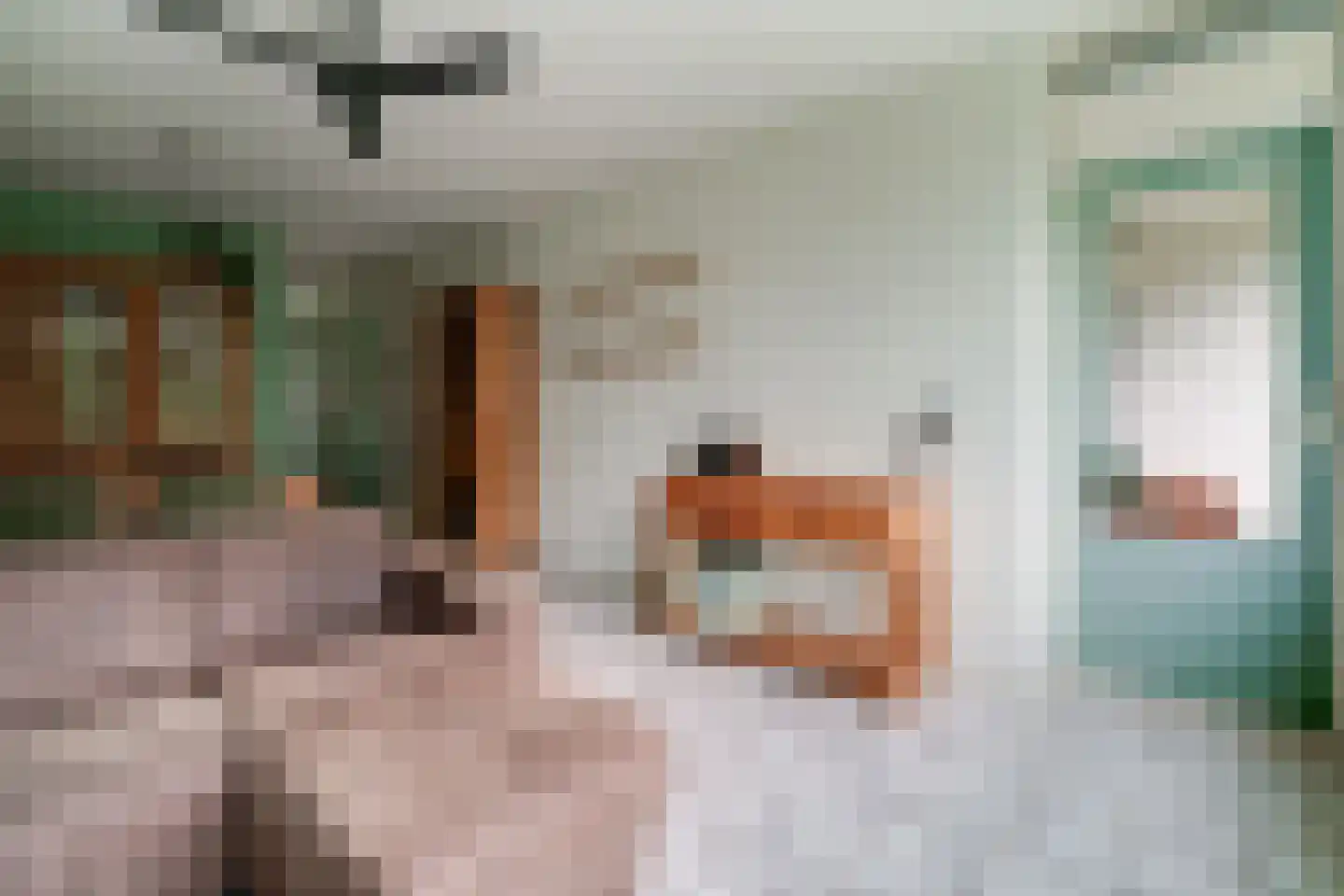 Middachtensingel 256 Arnhem thumbnail 34