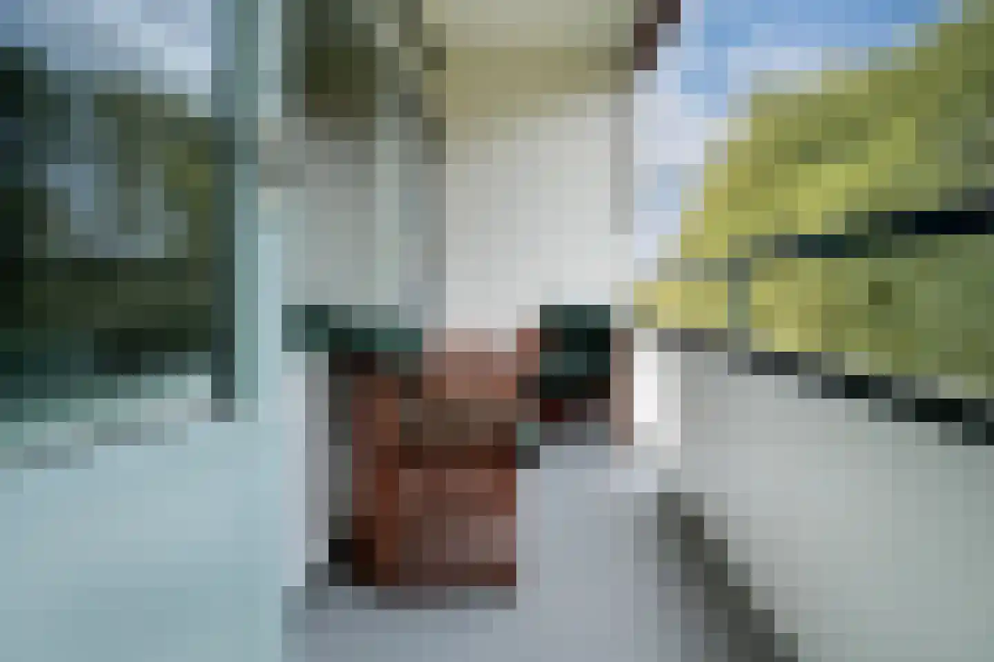 Middachtensingel 256 Arnhem thumbnail 35