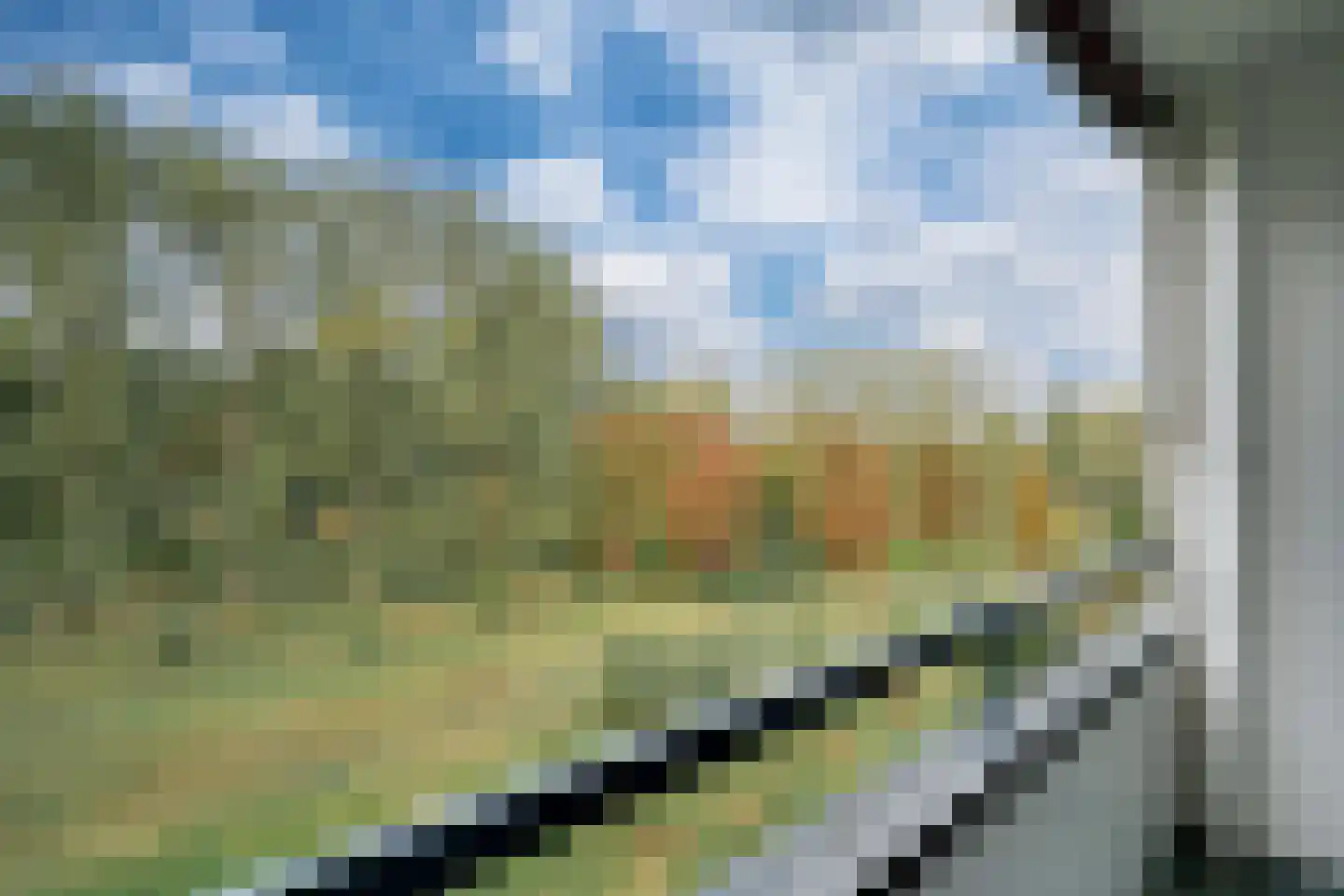 Middachtensingel 256 Arnhem thumbnail 37