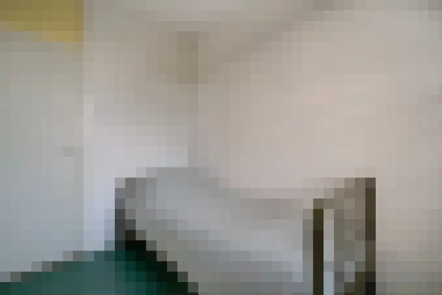 Middachtensingel 256 Arnhem thumbnail 46