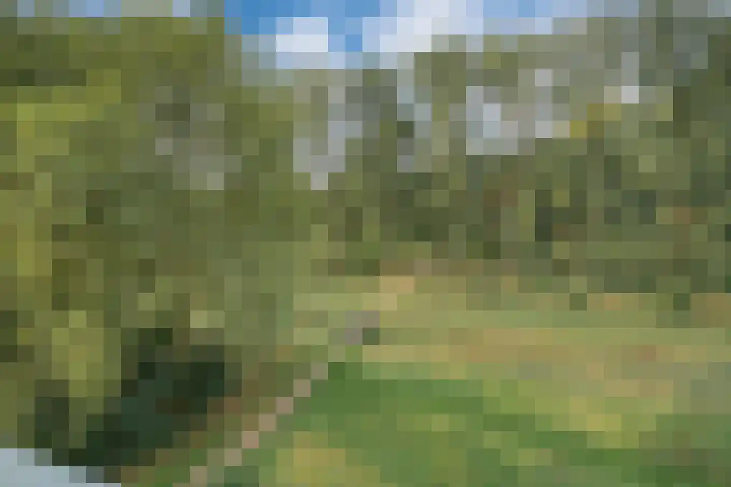 Middachtensingel 256 Arnhem thumbnail 54