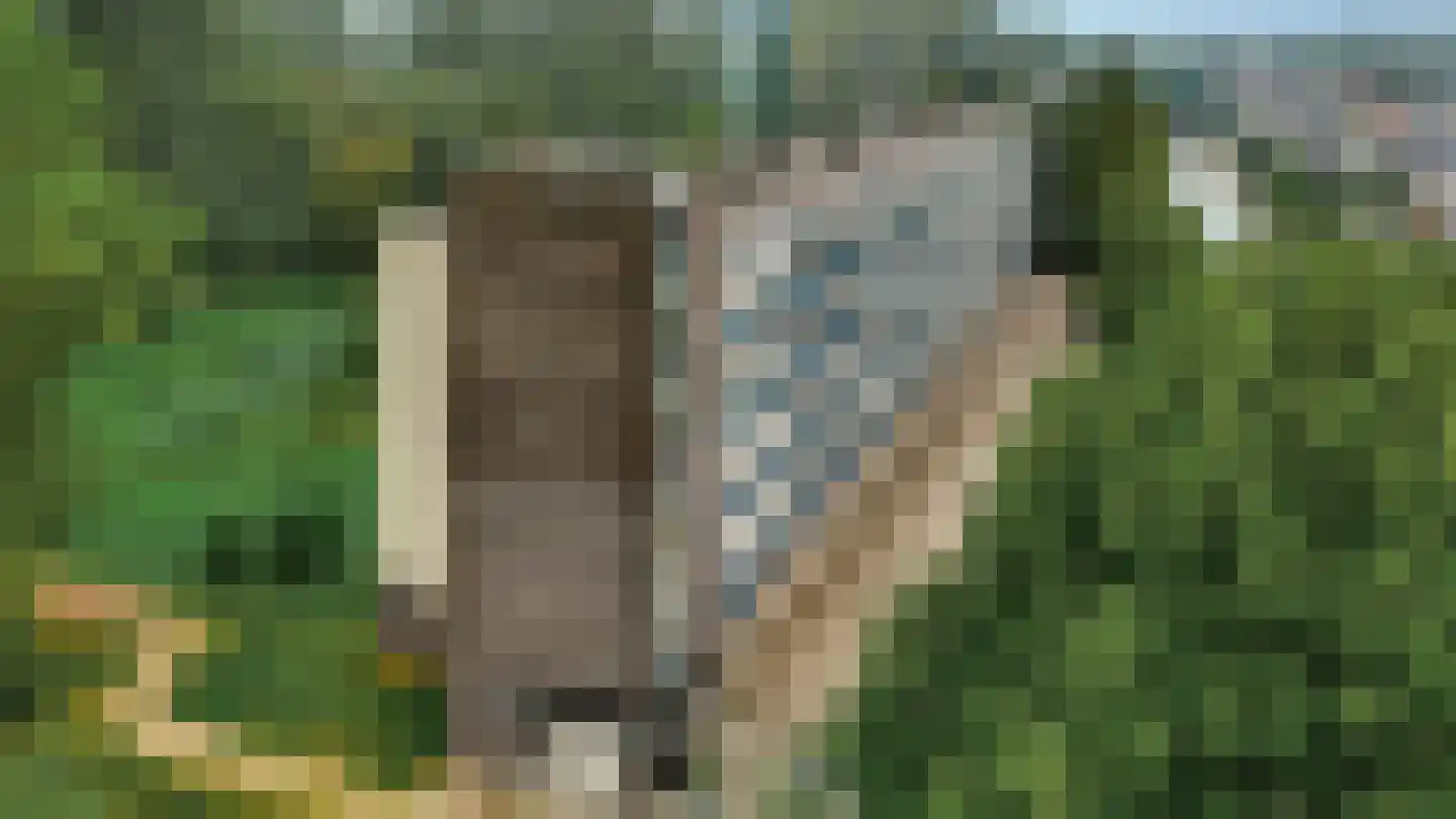 Middachtensingel 256 Arnhem thumbnail 57