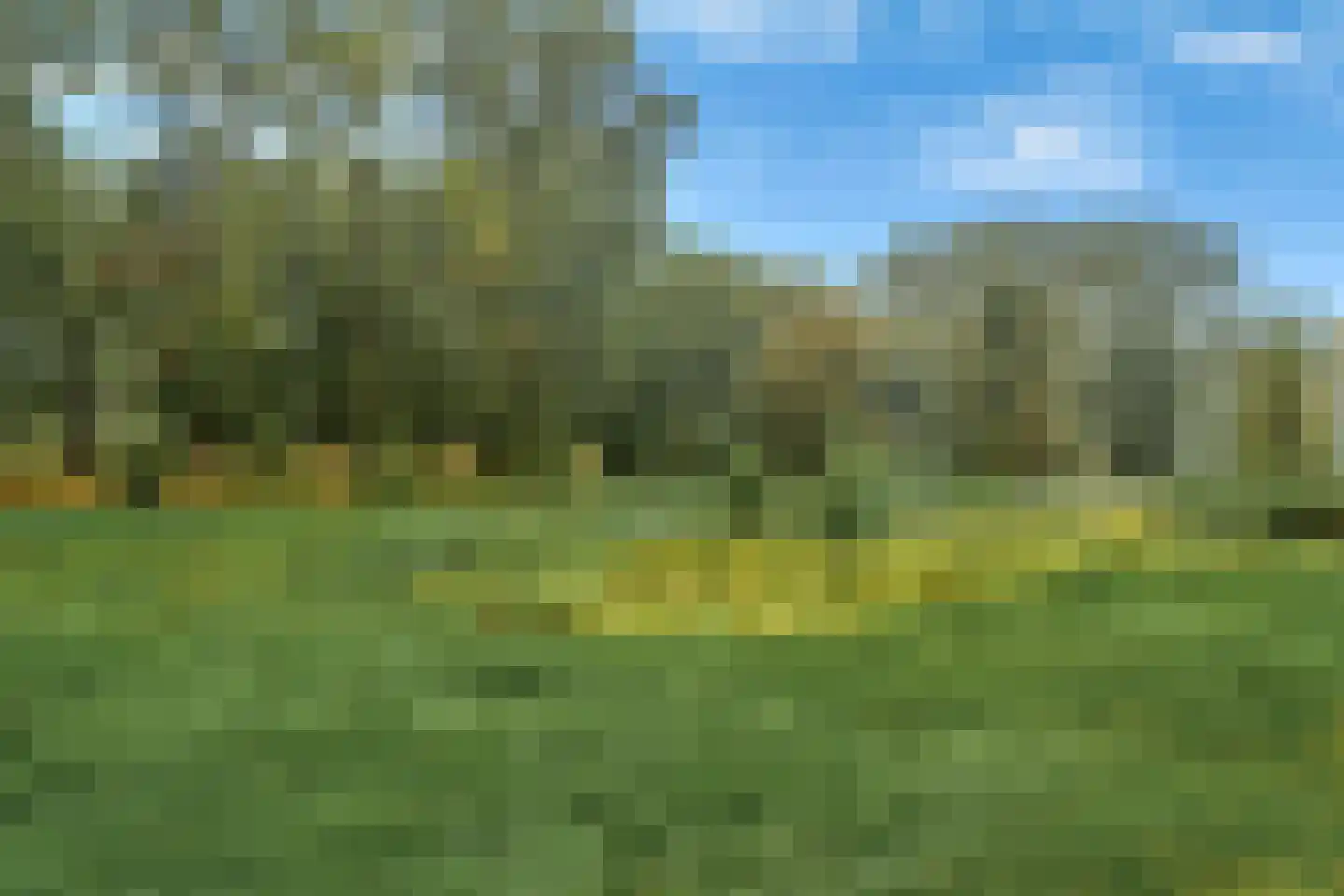 Middachtensingel 256 Arnhem thumbnail 6