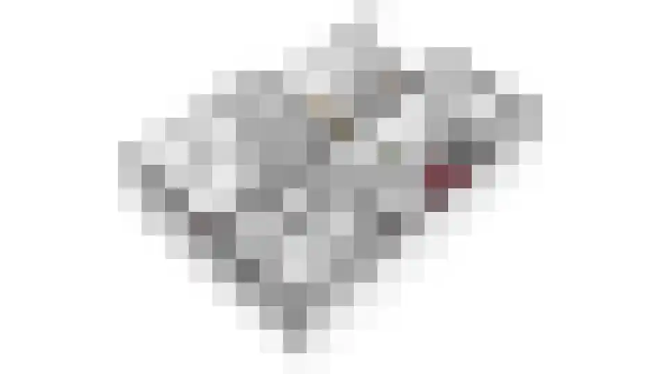 Middachtensingel 256 Arnhem thumbnail 61