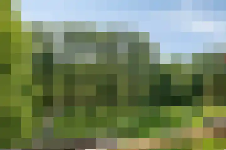 Middachtensingel 258 Arnhem thumbnail 12