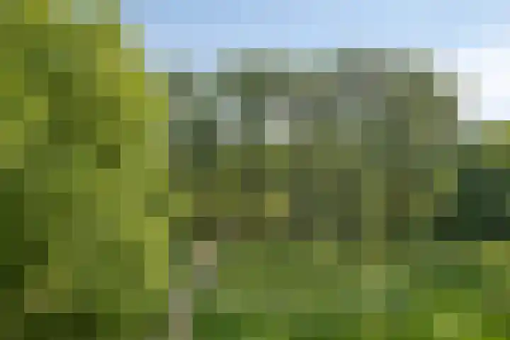 Middachtensingel 258 Arnhem thumbnail 13