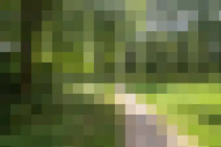 Middachtensingel 258 Arnhem thumbnail 30