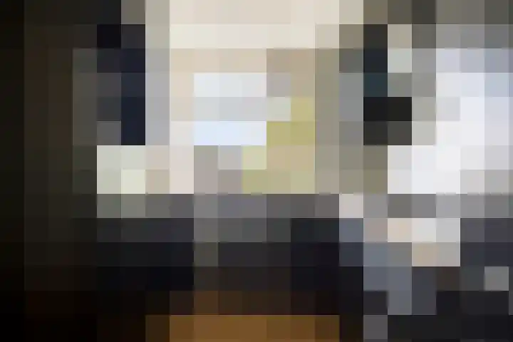 Middachtensingel 258 Arnhem thumbnail 8