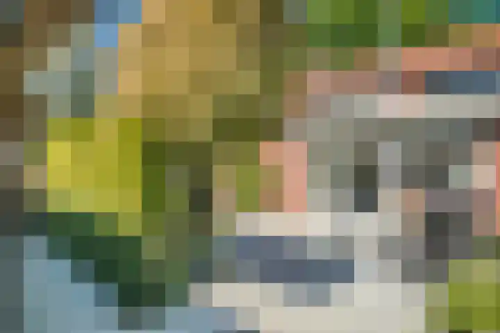 Middachtenstraat 27 Lichtenvoorde thumbnail 42