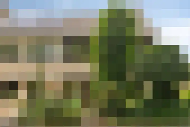 Middachtenstraat 71 in Breda