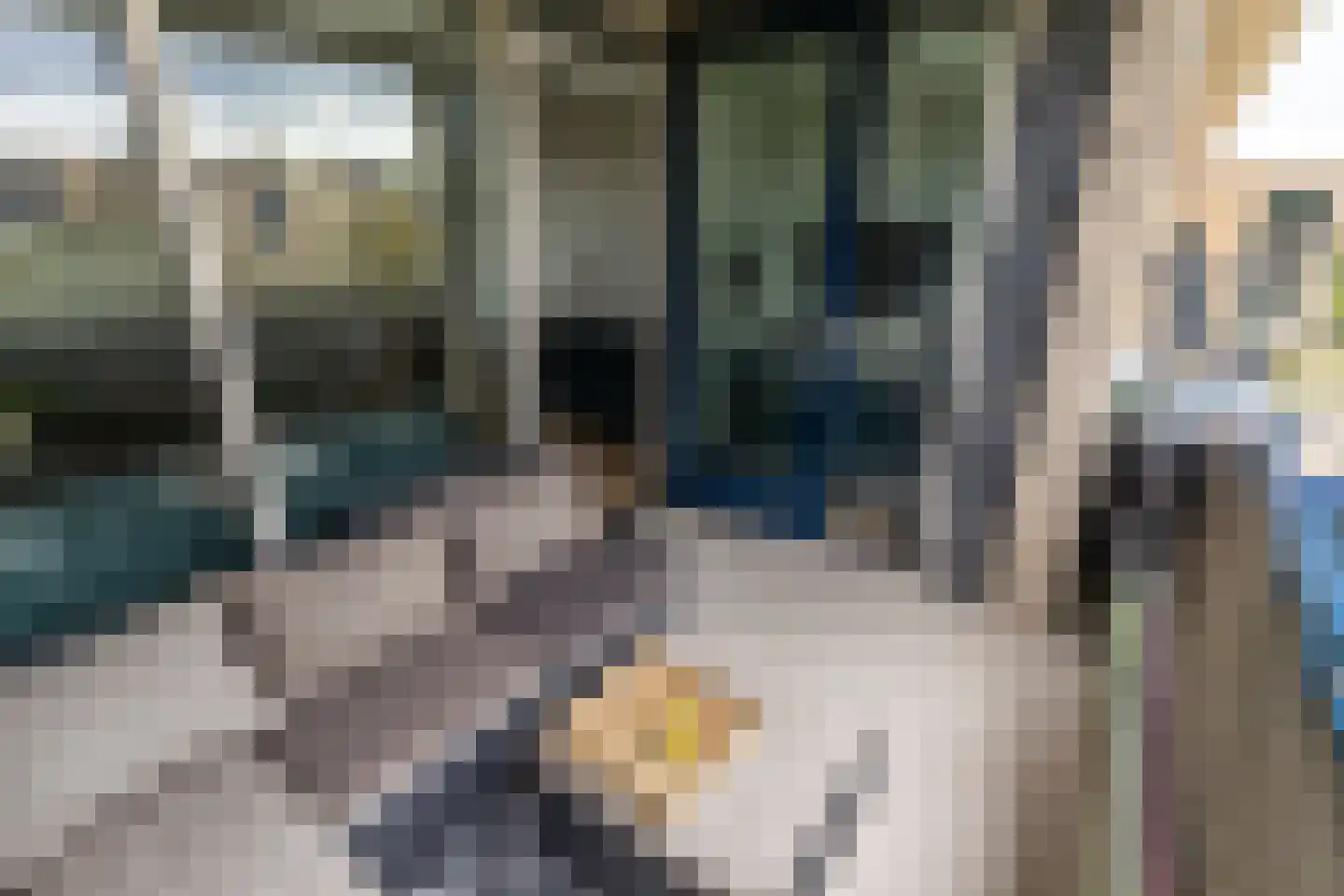 Middachtenweg 224 A Den Haag thumbnail 16