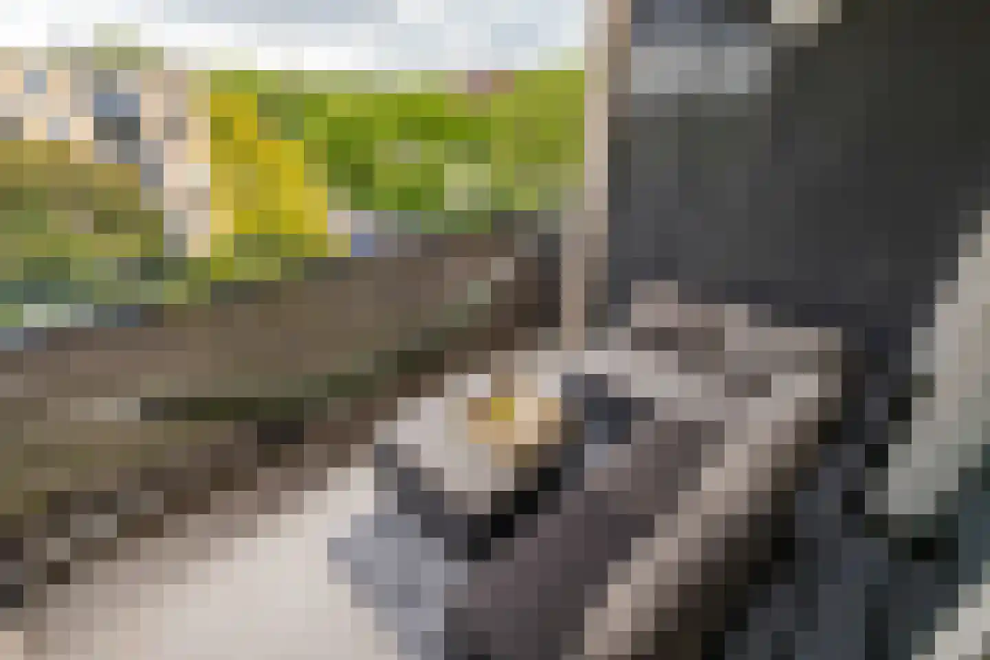 Middachtenweg 224 A Den Haag thumbnail 4