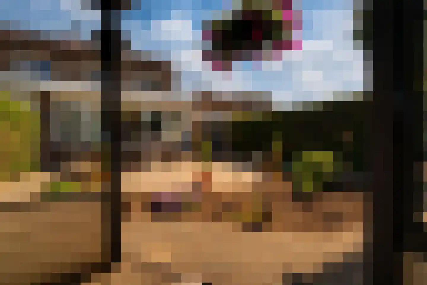 Middag 14 Babberich thumbnail 31