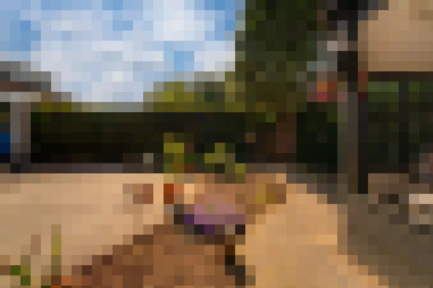 Middag 14 Babberich thumbnail 33