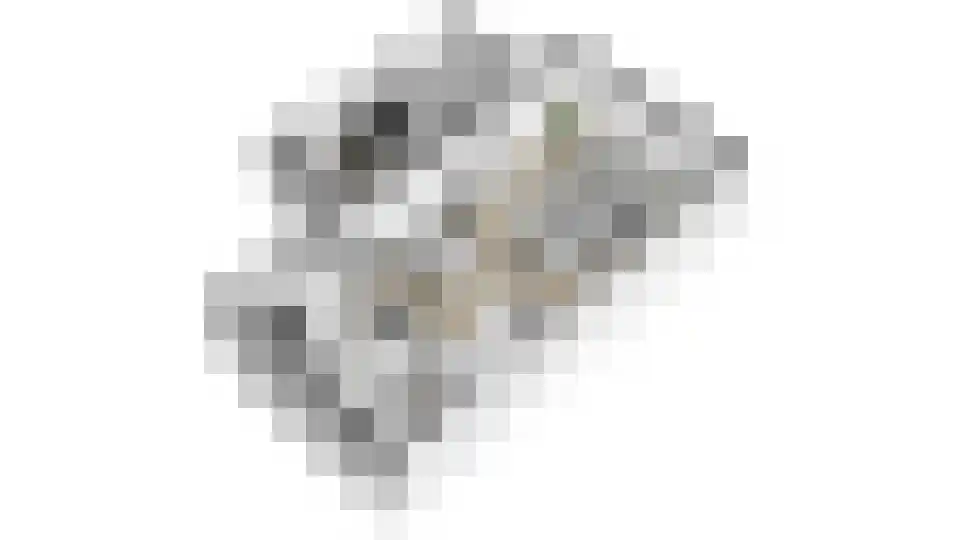 Middag 14 Babberich thumbnail 60