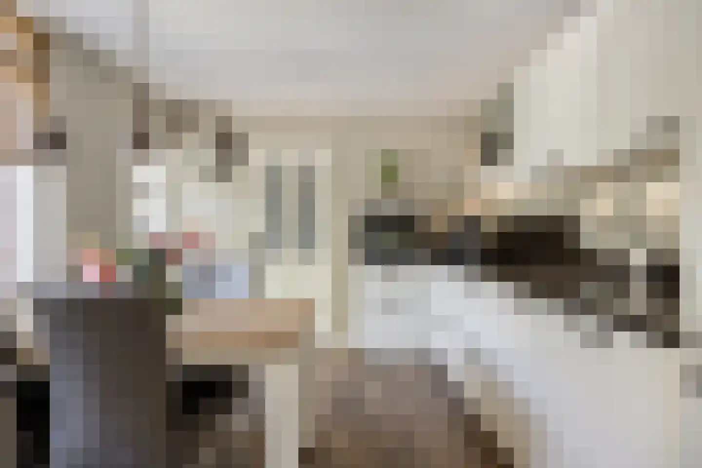 Middag 28 Babberich thumbnail 16