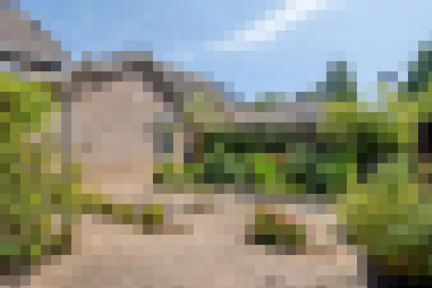 Middag 28 Babberich thumbnail 32