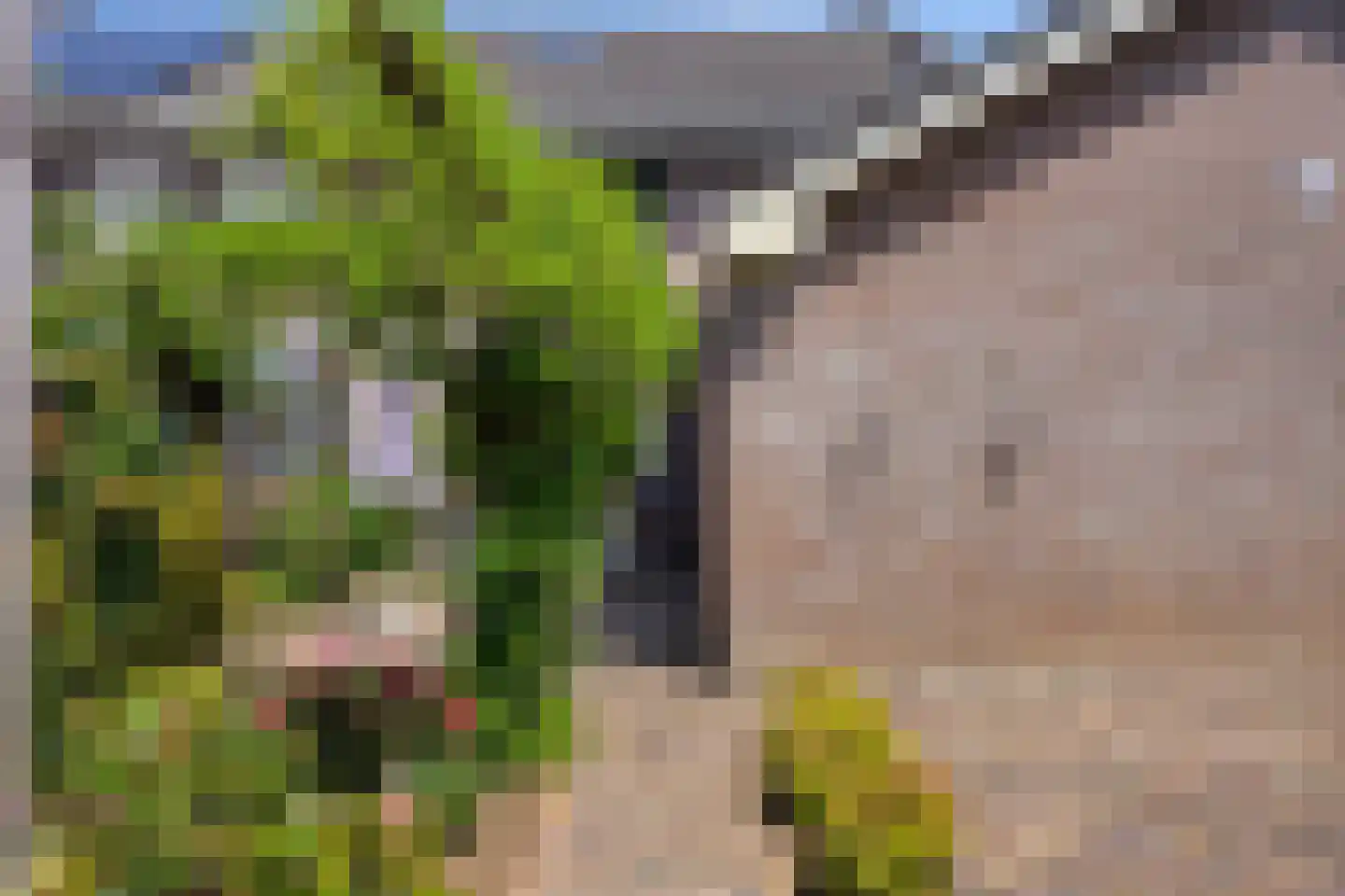Middag 28 Babberich thumbnail 36