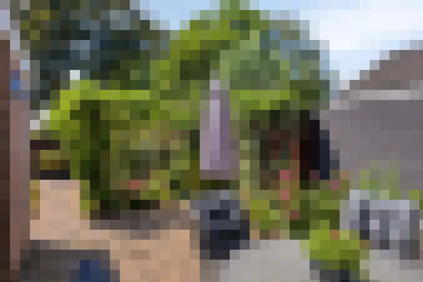 Middag 28 Babberich thumbnail 38