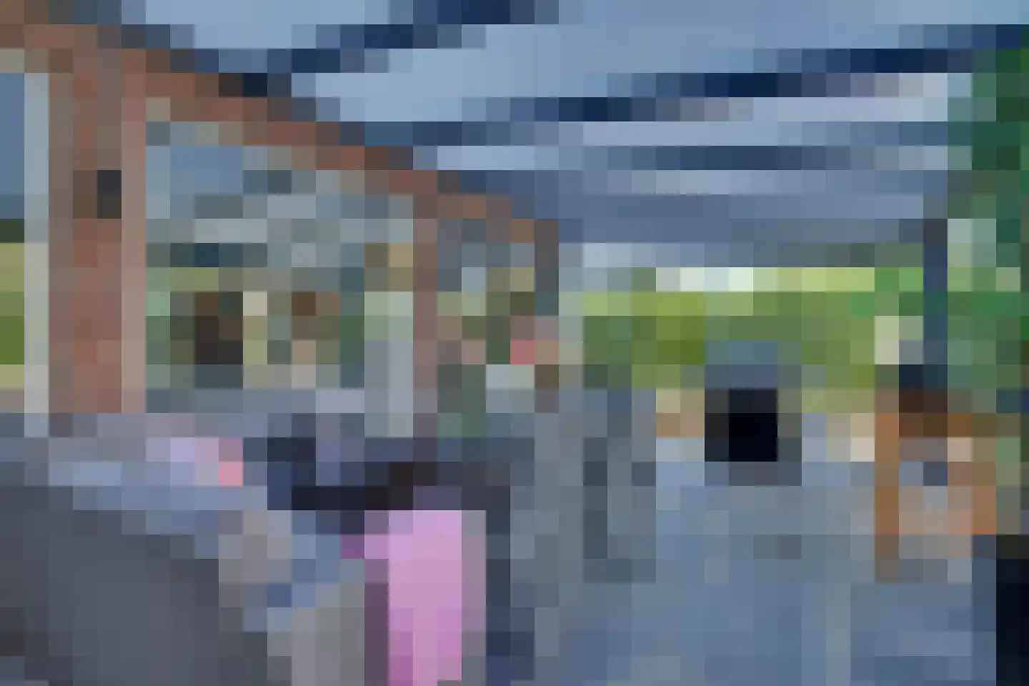 Middag 50 Babberich thumbnail 33