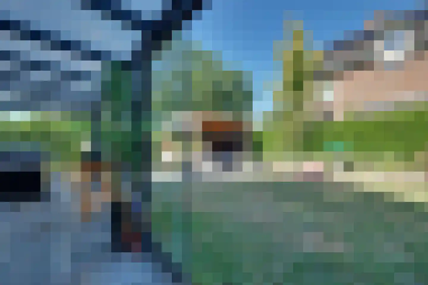 Middag 50 Babberich thumbnail 34